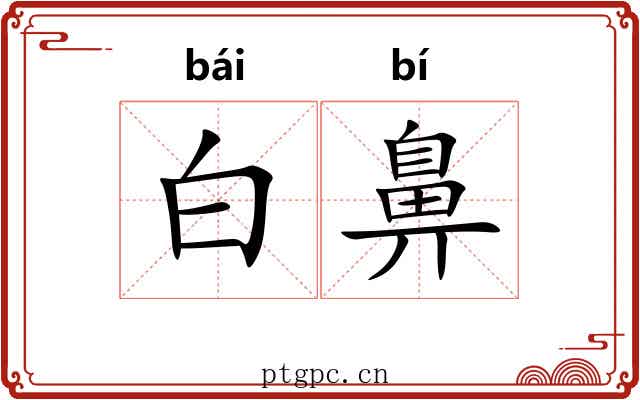 白鼻 白鼻