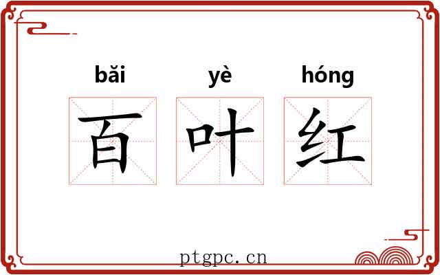 百叶红 百叶红