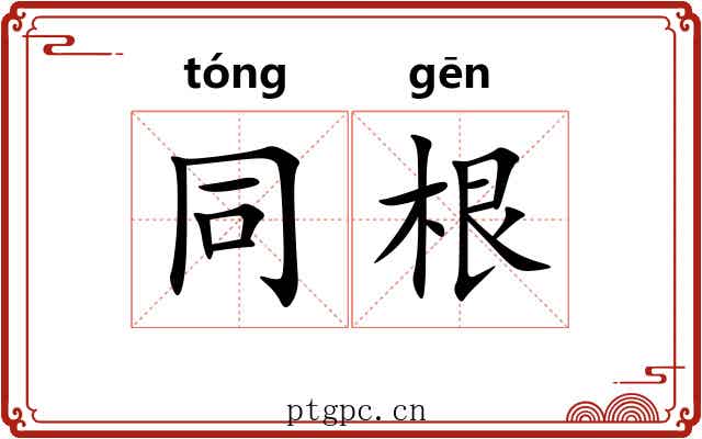 同根