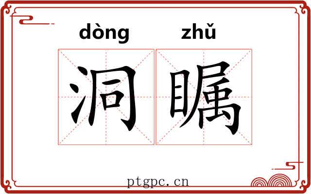 洞瞩
