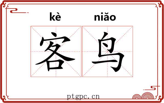 客鸟