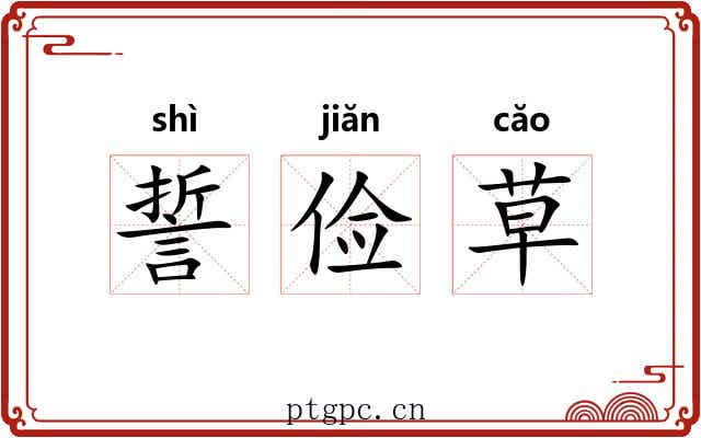 誓俭草 誓俭草