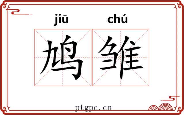 鸠雏