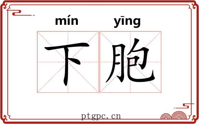 下胞 下胞