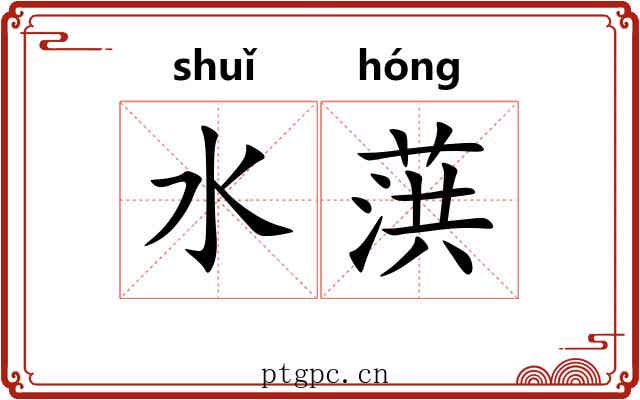 水葓 水葓