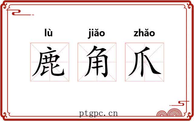 鹿角爪 鹿角爪