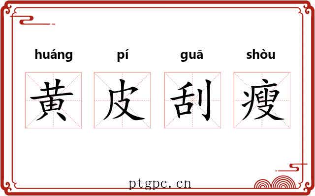 黄皮刮瘦 黄皮刮瘦