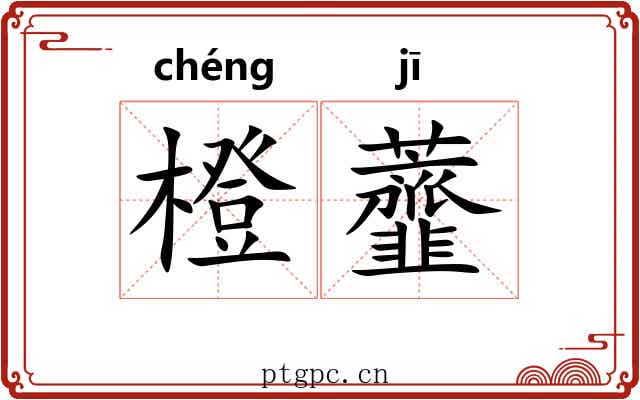 橙虀