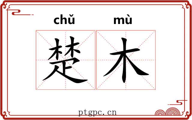 楚木 楚木