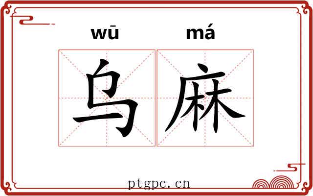 乌麻