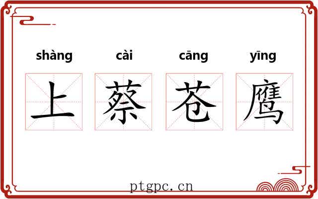 上蔡苍鹰 上蔡苍鹰