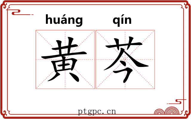 黄芩