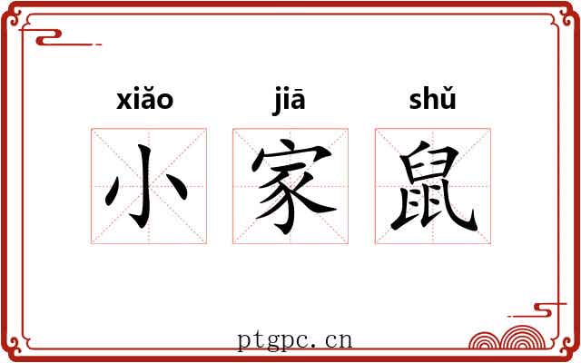 小家鼠 小家鼠