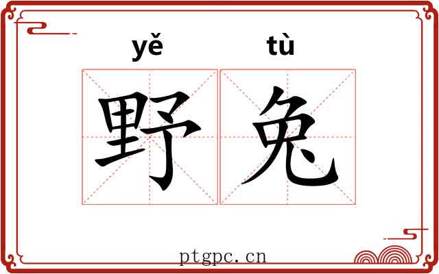 野兔 野兔