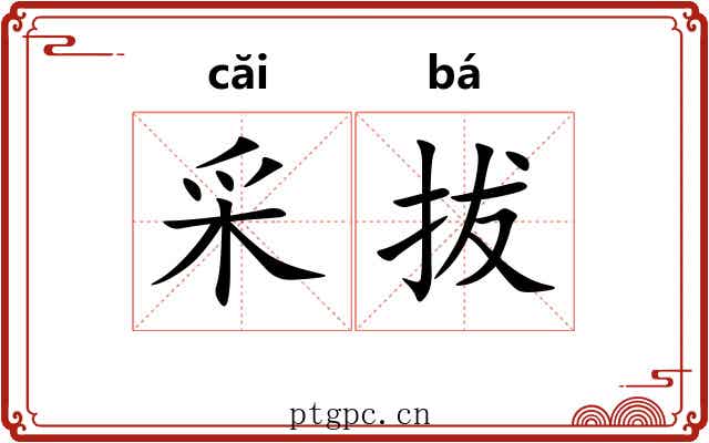 采拔 采拔