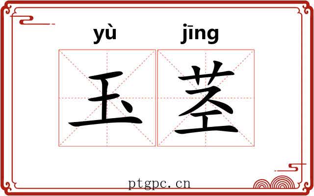 玉茎