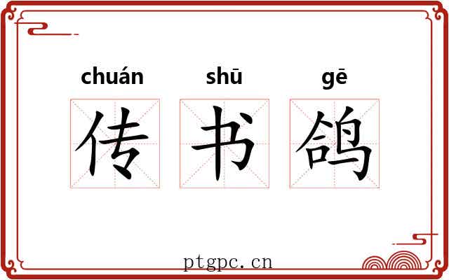 传书鸽 传书鸽
