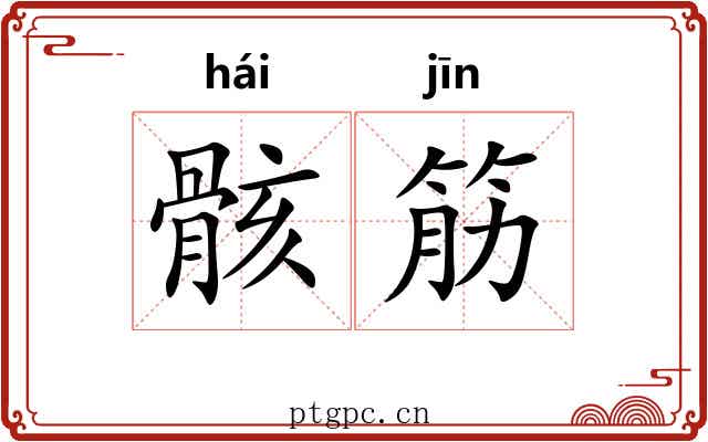 骸筋