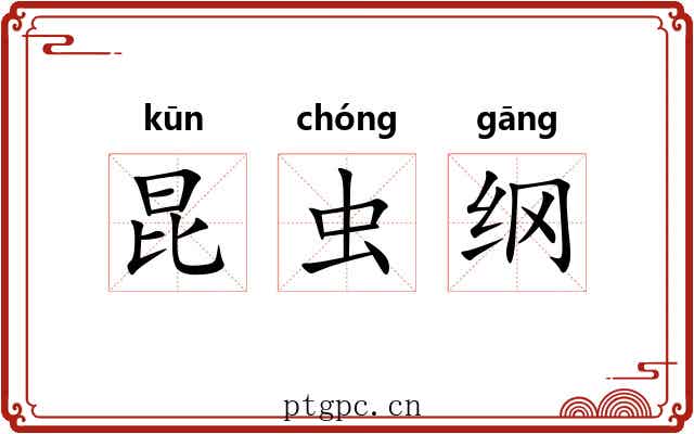 昆虫纲 昆虫纲