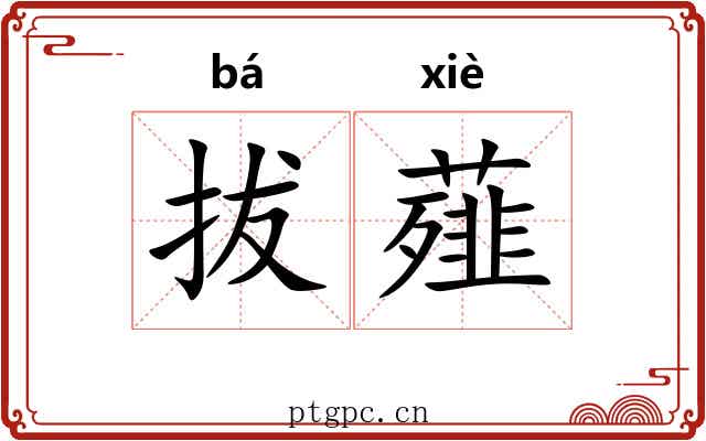 拔薤 拔薤