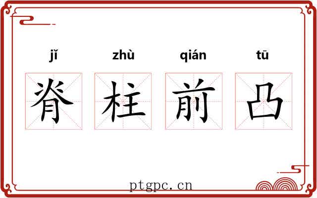 脊柱前凸 脊柱前凸