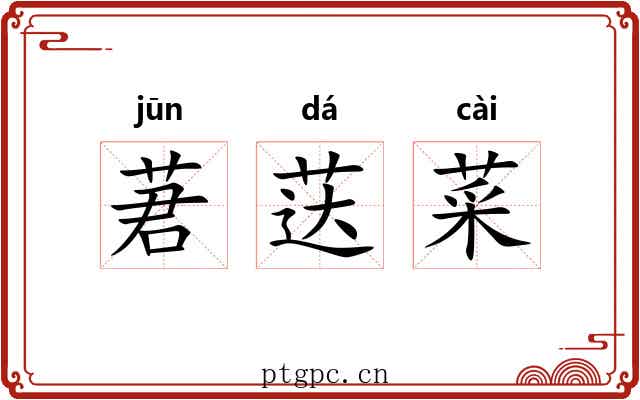 莙荙菜