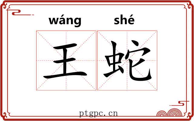 王蛇 王蛇
