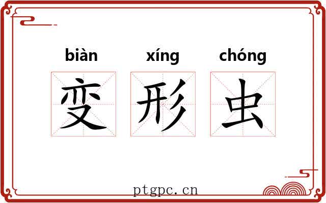 变形虫 变形虫