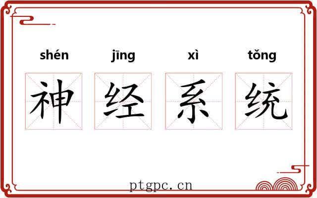 神经系统 神经系统