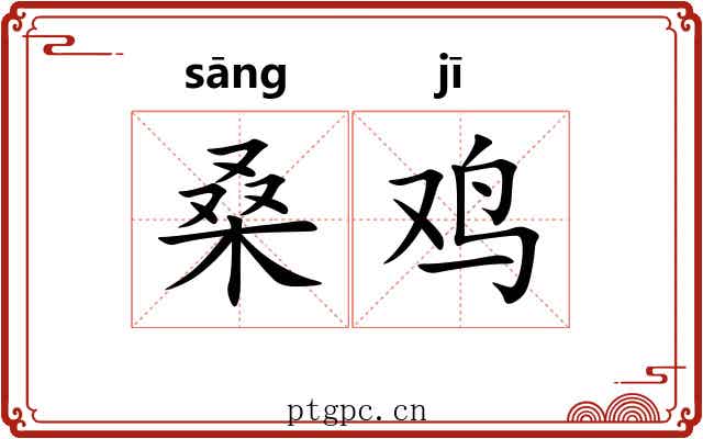 桑鸡