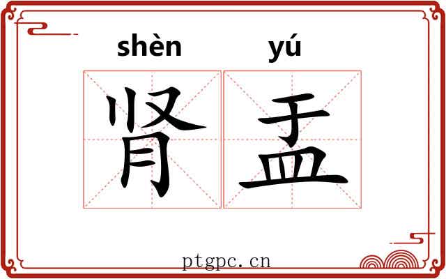 肾盂