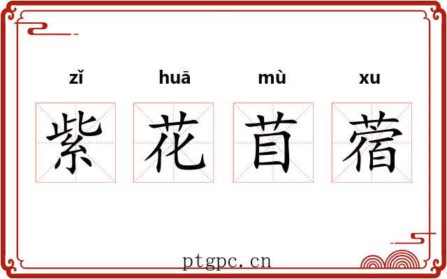 紫花苜蓿 紫花苜蓿