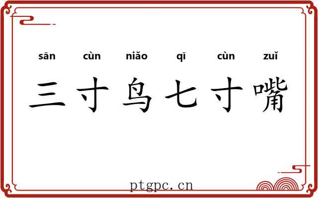 三寸鸟七寸嘴 三寸鸟七寸嘴