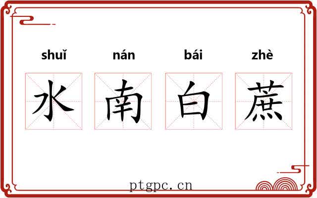 水南白蔗 水南白蔗