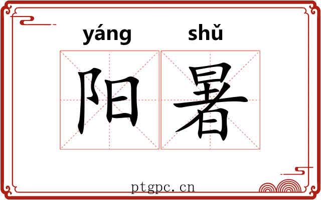 阳暑 阳暑