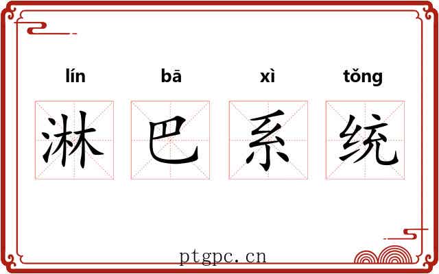 淋巴系统 淋巴系统