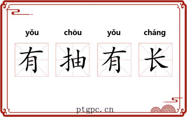 有抽有长