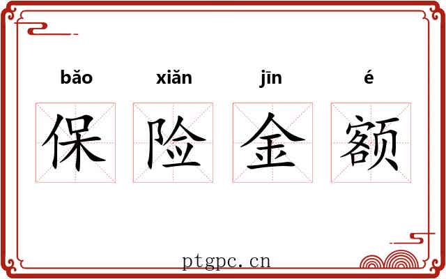 保险金额