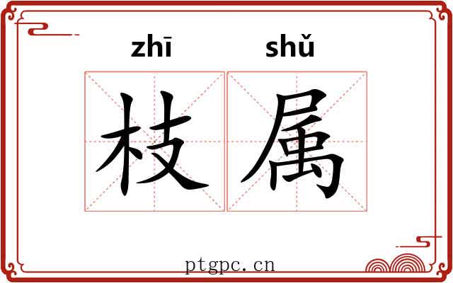 枝属 枝属