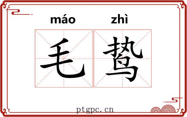 毛鸷 毛鸷