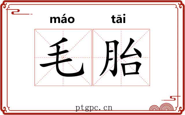 毛胎 毛胎