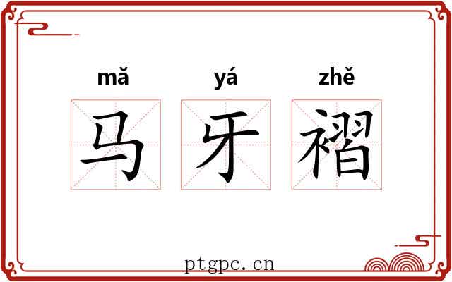 马牙褶