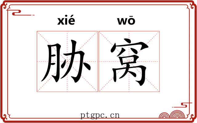 胁窝 胁窝