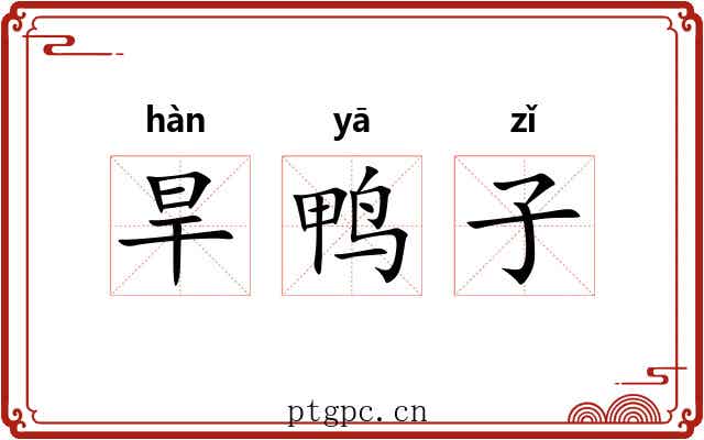 旱鸭子 旱鸭子