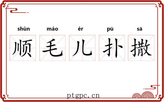 顺毛儿扑撒