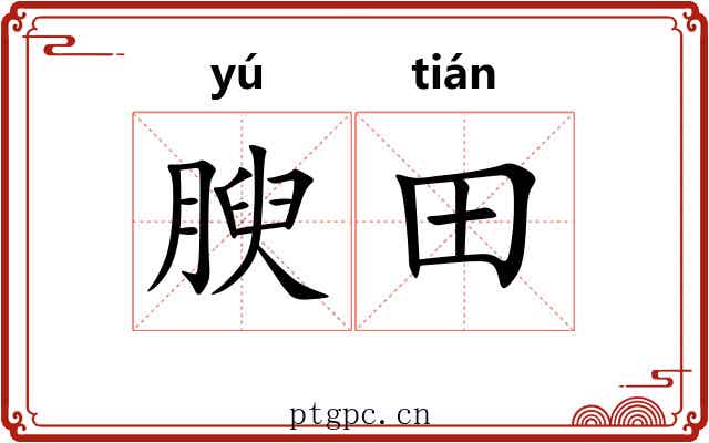 腴田