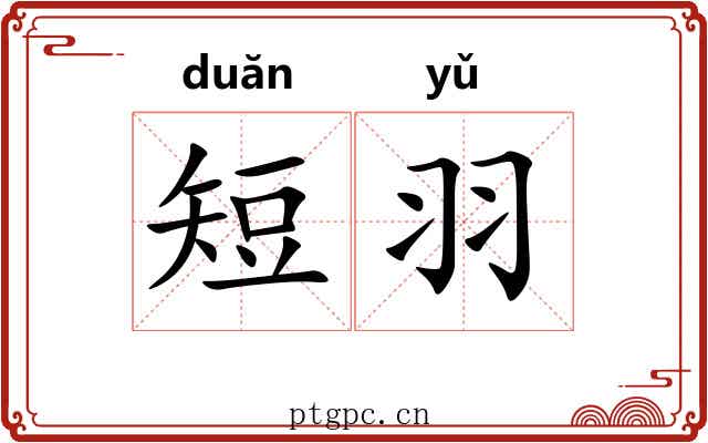 短羽