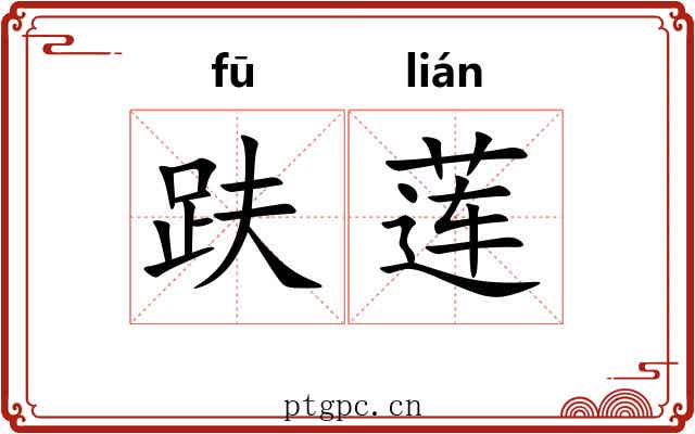趺莲