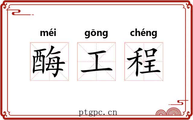 酶工程 酶工程