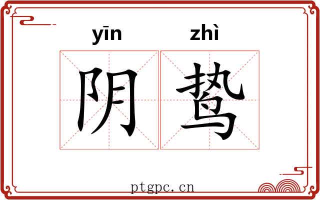 阴鸷 阴鸷